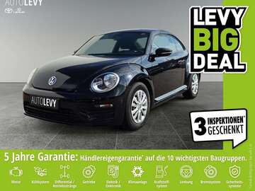 Gebrauchte VW Beetle