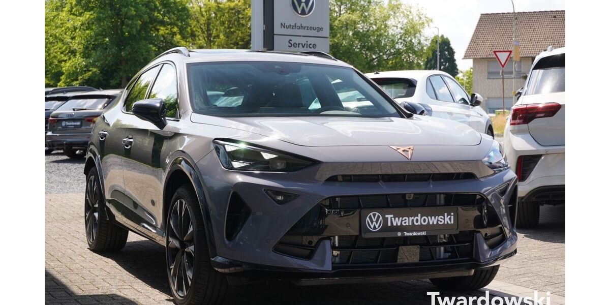 Cupra Formentor 1.029 km 42.490 &euro; Wegberg 41844