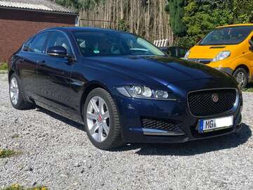 Gebrauchte Jaguar XF